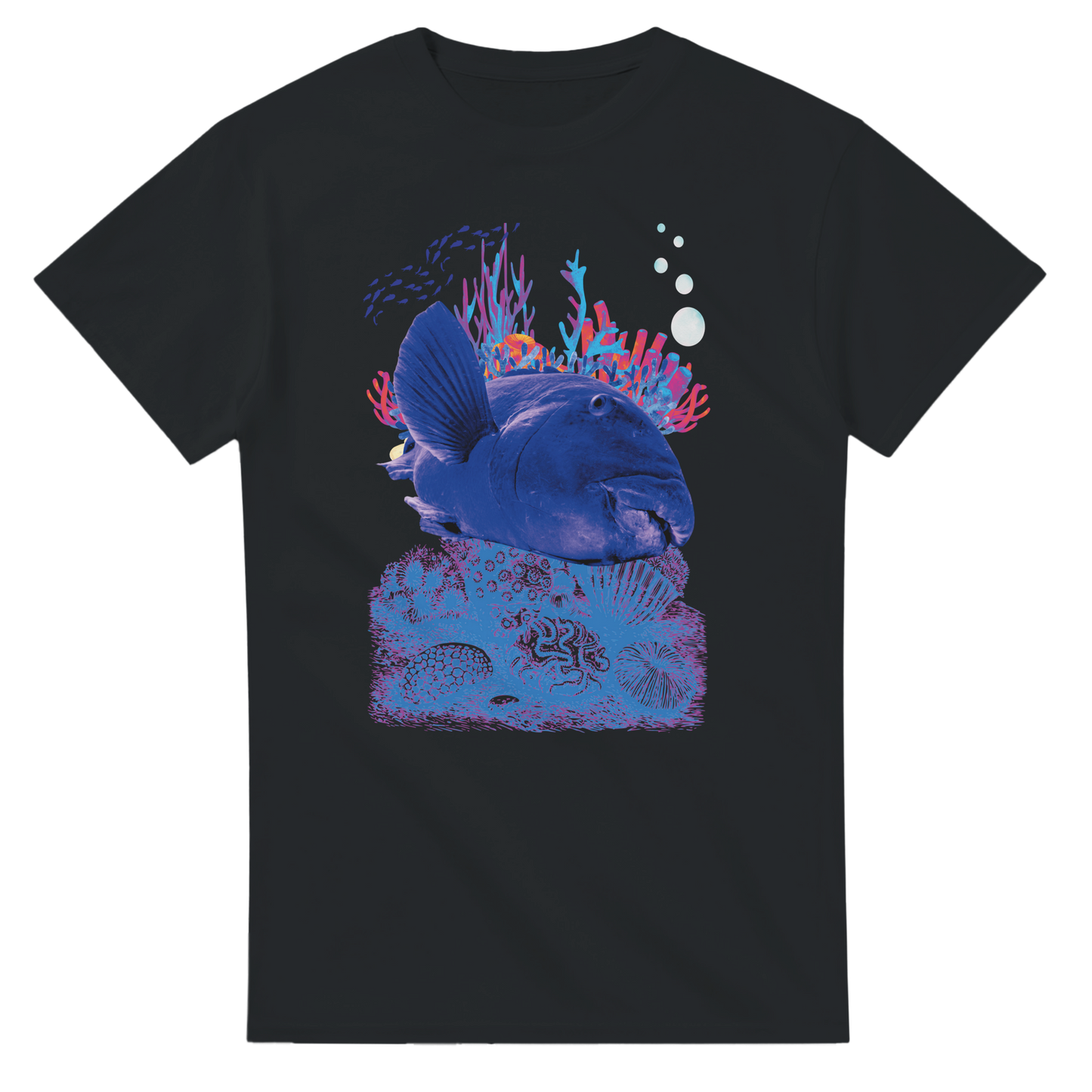 04767d2b-0eef-4090-9850-cec235fb0631