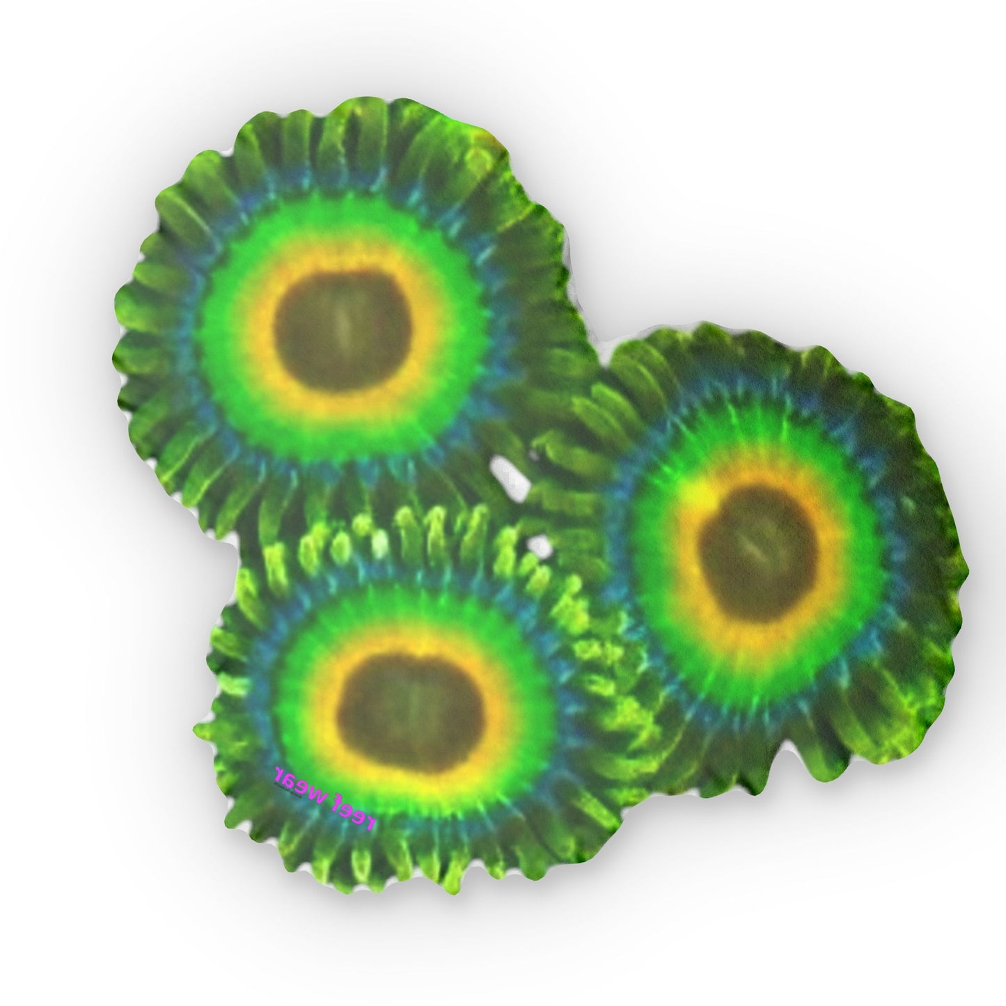 Rasta Zoas Pillows