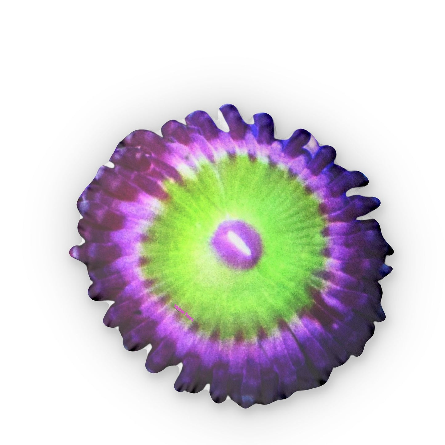 Candy Apple Pink Zoa Pillows