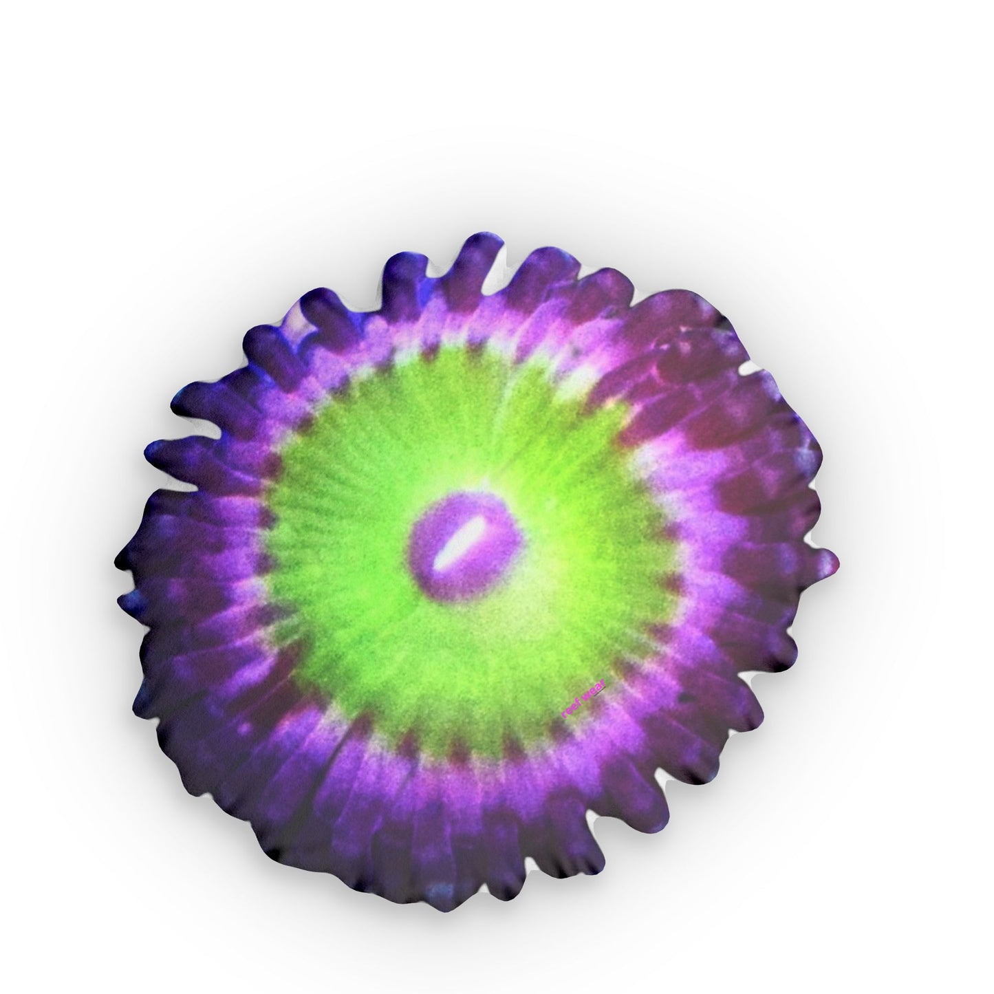 Candy Apple Pink Zoa Pillows