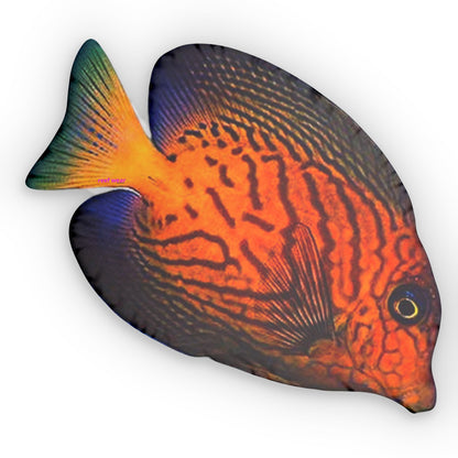 Hawaiensis Pillows