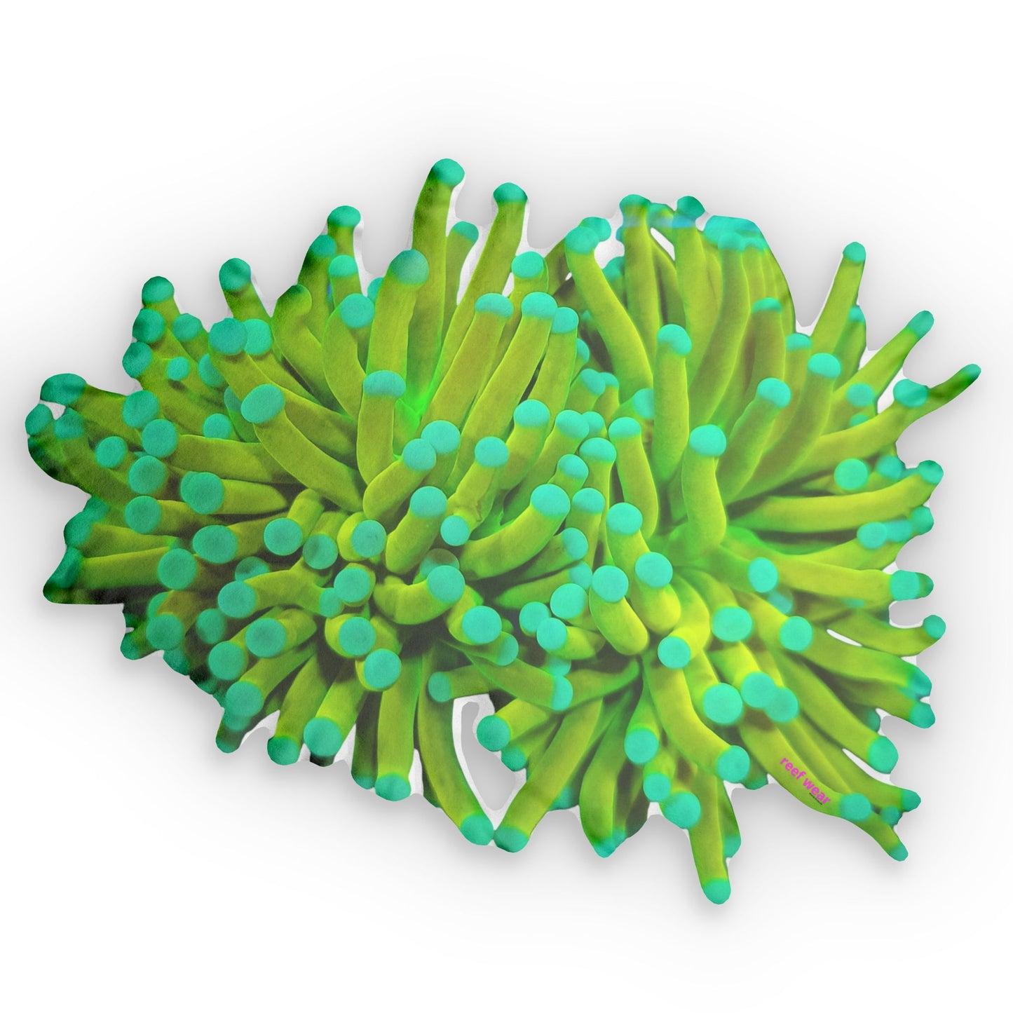 Torch Banana Pillows