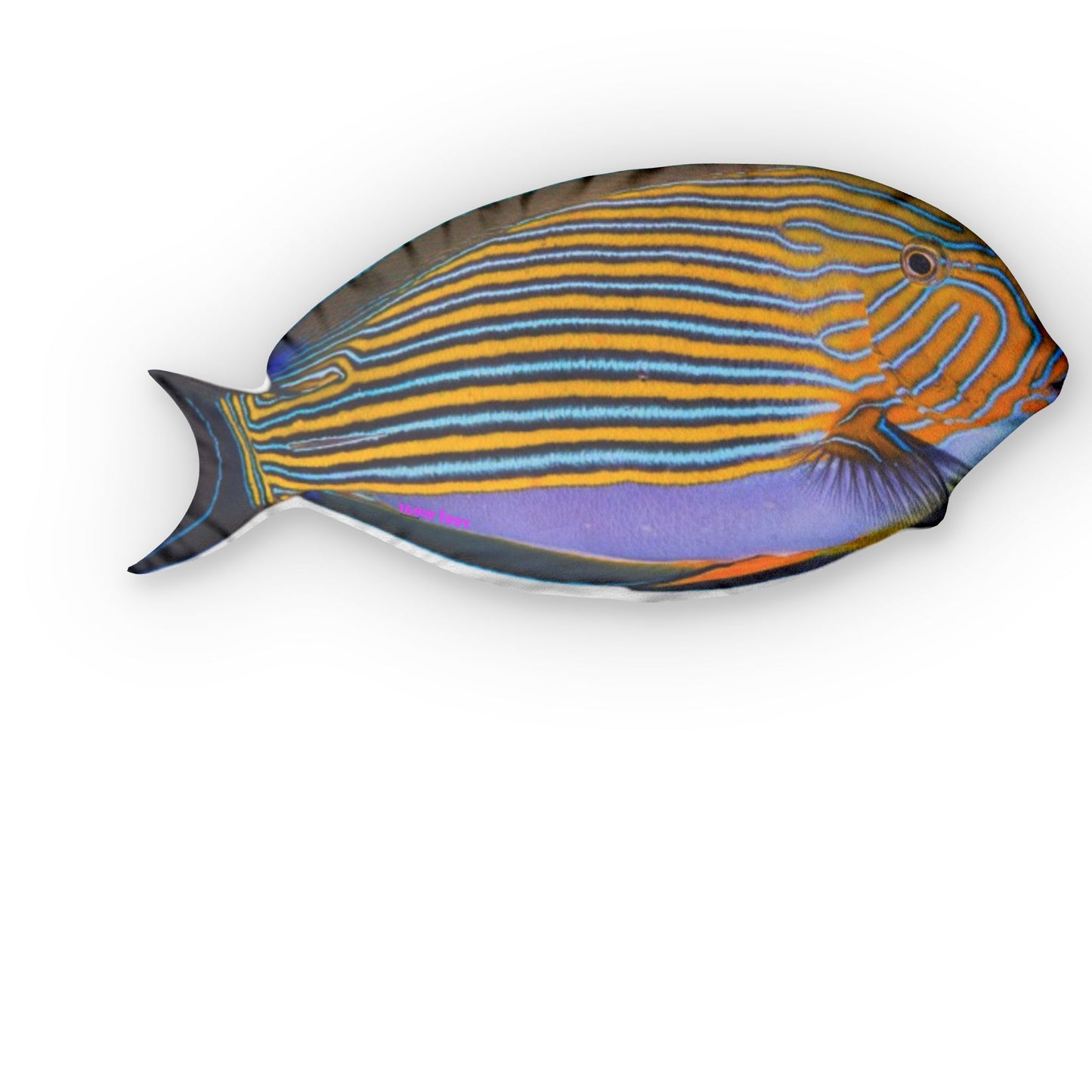 Lineatus Pillows