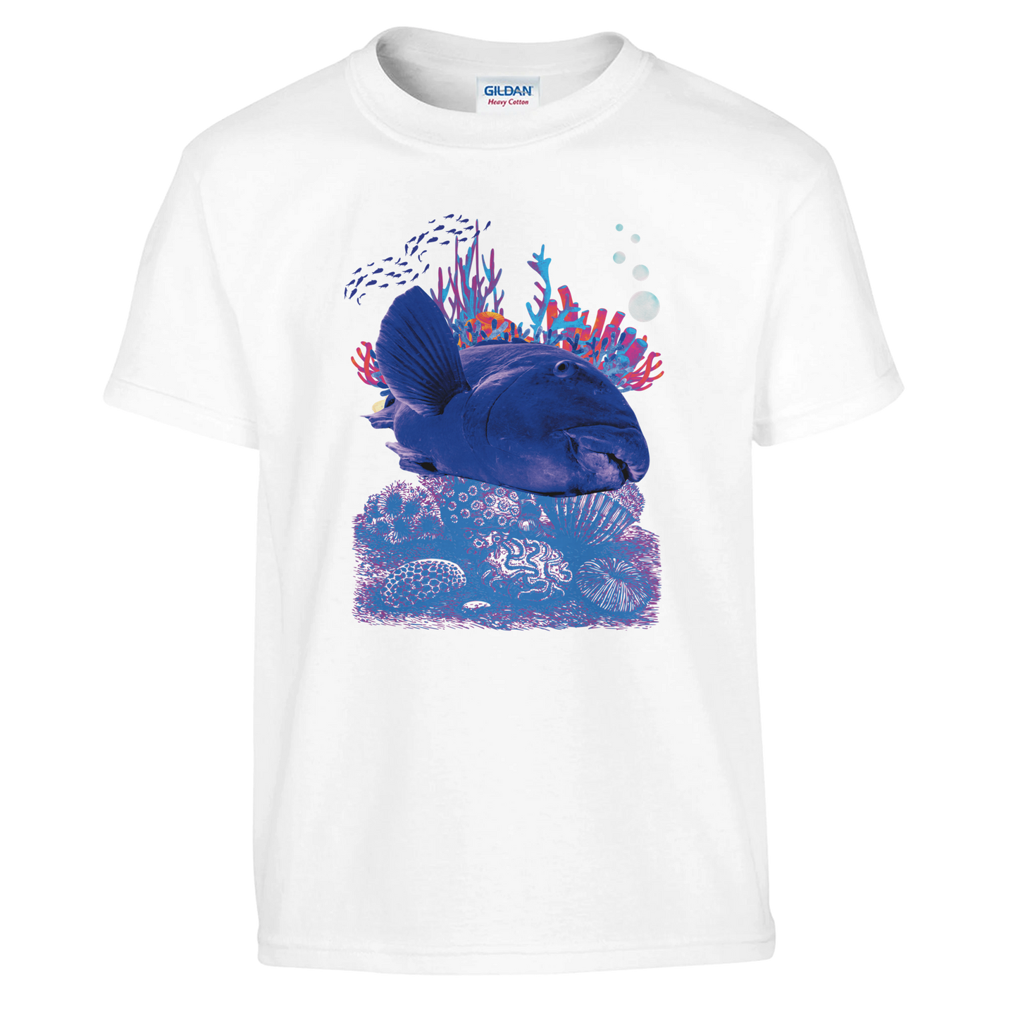 c3f0e79c-afc8-49e2-a8d3-71b6f94eaeec